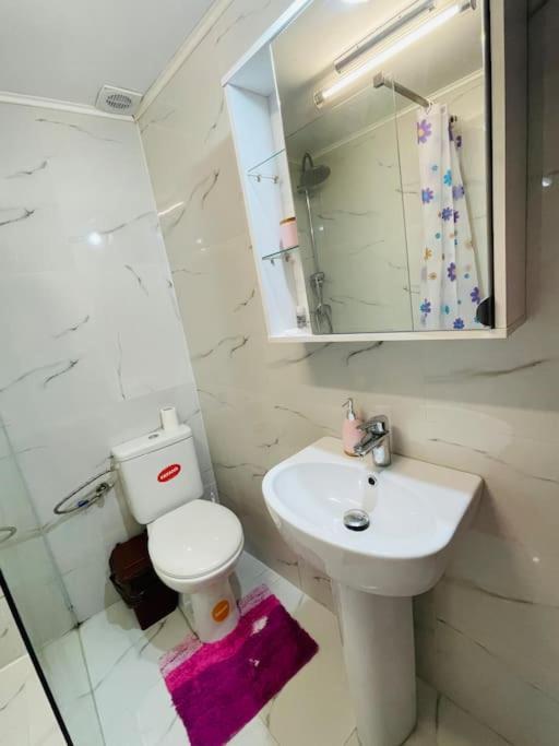 Lavender Luxury Apartment Nagyvárad Kültér fotó