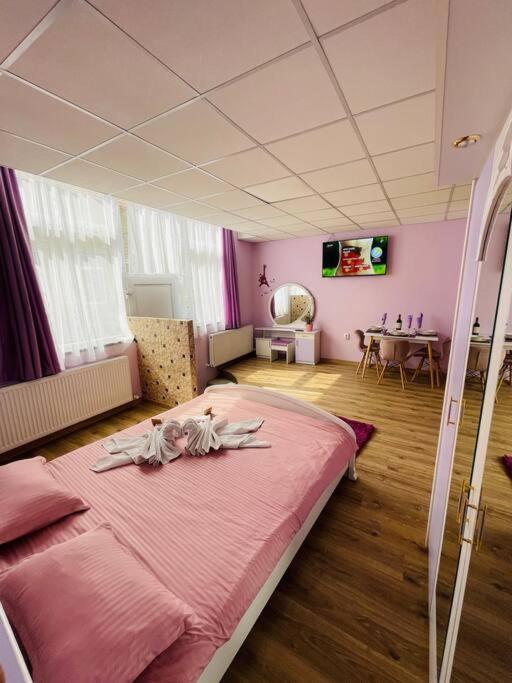 Lavender Luxury Apartment Nagyvárad Kültér fotó
